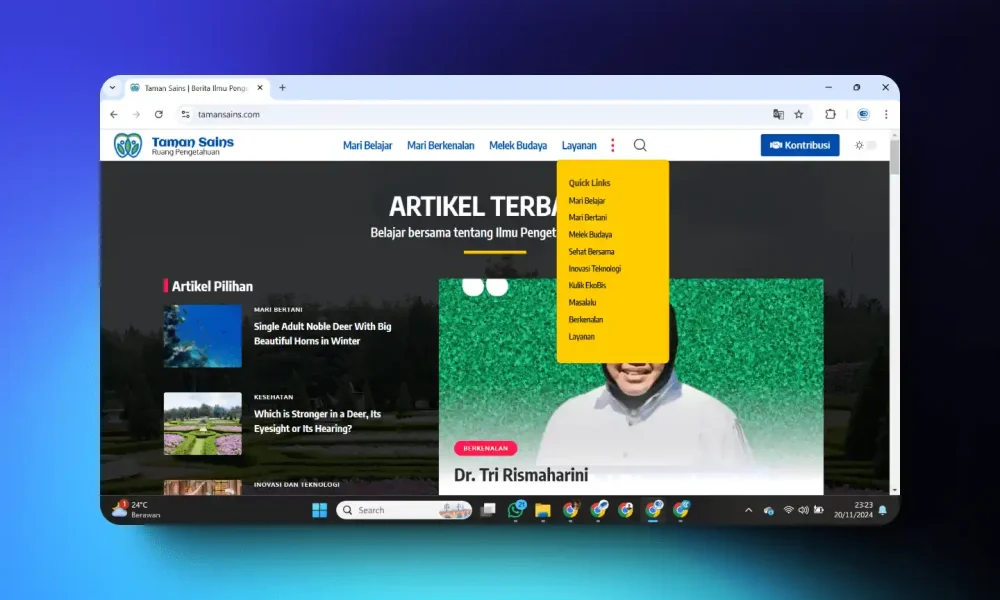 Jasa Pembuatan Website Lombok